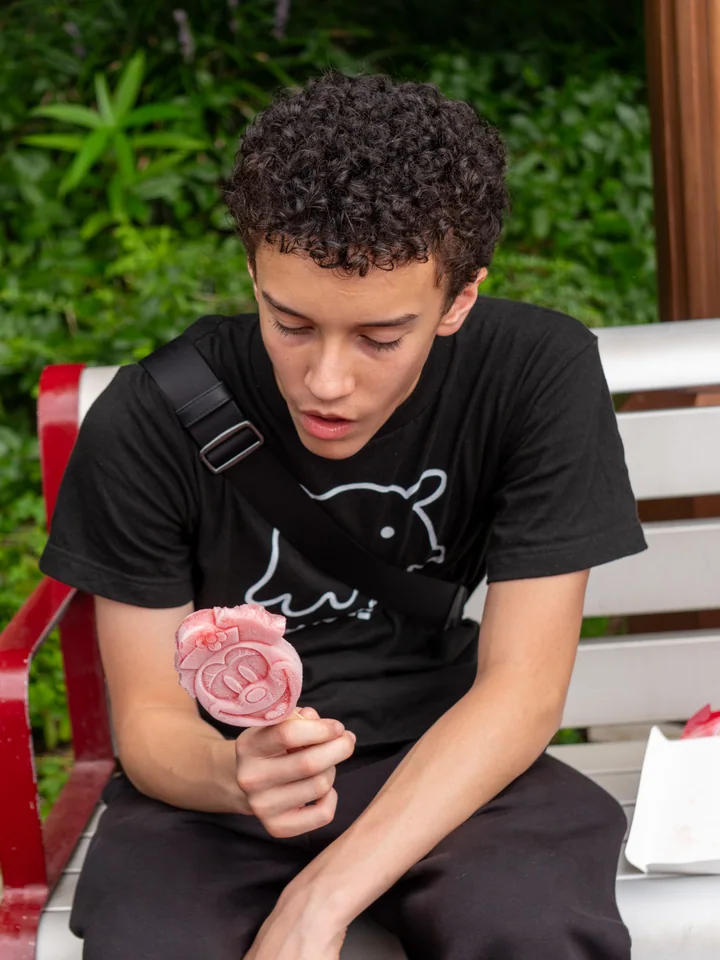 The oldest son studies a pink Mickey-shaped frozen treat while sitting on a bench.